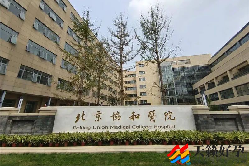 中国医学科学院北京协和医院(图1)