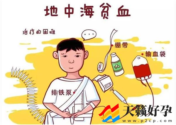 上海三代试管婴儿哪个医院成功率高(图1)